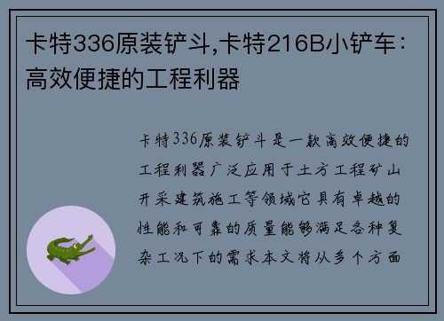 卡特336原装铲斗,卡特216B小铲车：高效便捷的工程利器