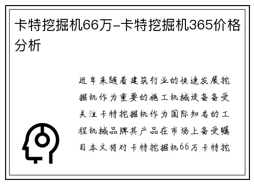 卡特挖掘机66万-卡特挖掘机365价格分析